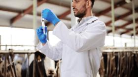 В Россельхознадзоре контролируют ситуацию с пастереллезом в Новосибирской области